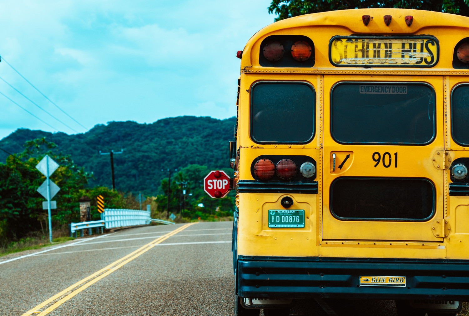 Foto: Meritt Thomas via unsplash.com