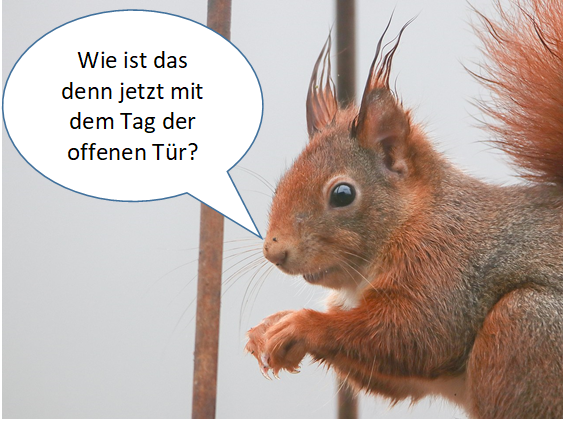 Ein Eichhörnchen mit einer Sprechblase fragt nach dem Tag der offenen Tür